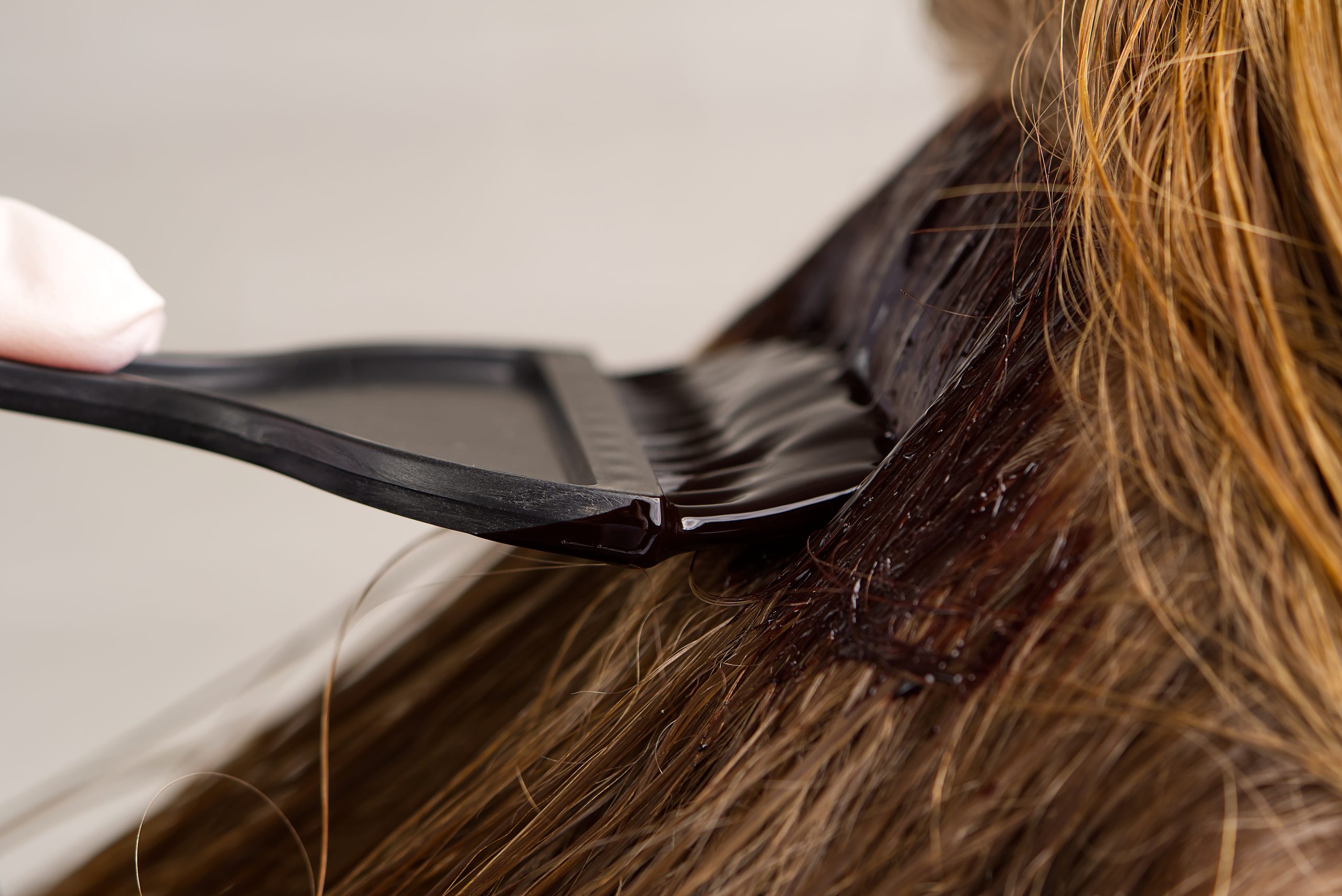 featured image 1763488289